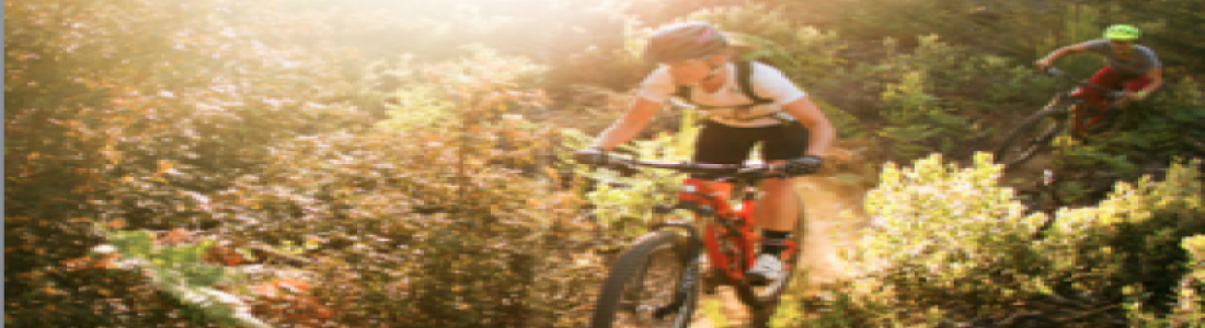 THE WOMEN’S GUIDE TO MOUNTAIN BIKING THE WOMEN’S GUIDE TO MOUNTAIN BIKING