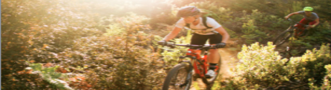 THE WOMEN’S GUIDE TO MOUNTAIN BIKING